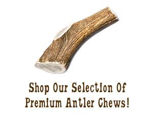 Shop Our Selection of Premium Antler Dog Chews