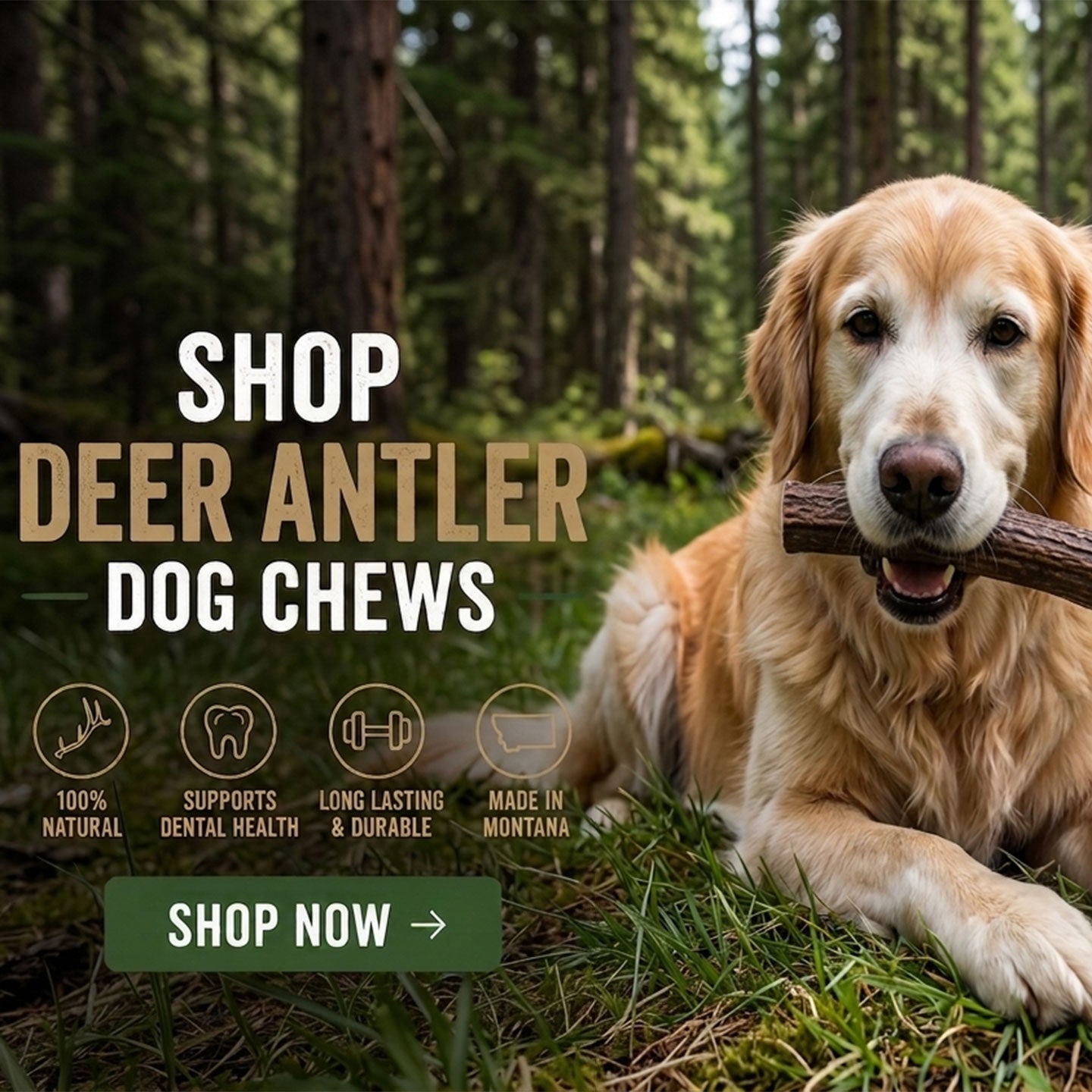 Deer Antler Chews