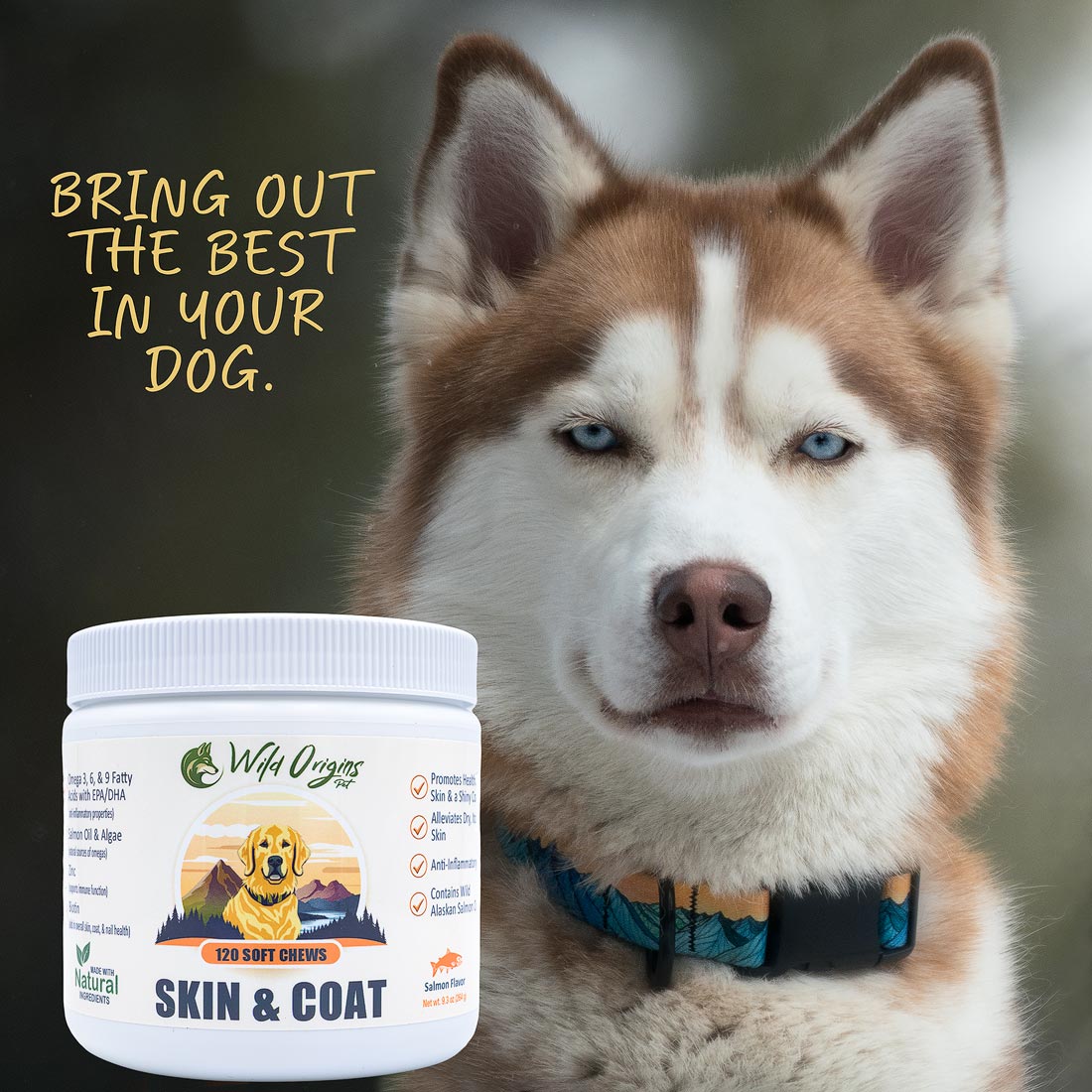 Dog Supplements