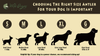 Deer Antler Dog Chews - USA Made Premium Grade Antlers for Dogs