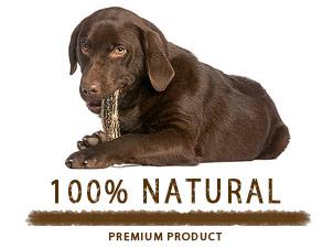 All Natural Antler Dog Chews